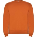 Clasica Sweatshirt mit Rundhalsausschnitt Unisex, Orange