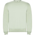 Clasica Sweatshirt mit Rundhalsausschnitt Unisex, Nebelgrün