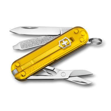 Logotrade Geschäftsgeschenke das Foto: Taschenmesser Classic SD transparent Victorinox