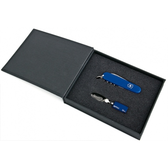 Logo trade promotional gifts picture of: Elegant giftset in blue colour  8GB	color blue