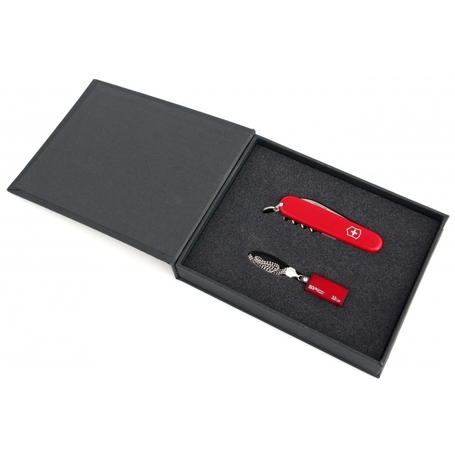 Logo trade promotional giveaways image of: Giftset in red colour  8GB	color red