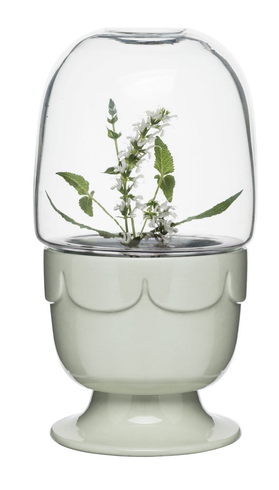 Logotrade promotional merchandise picture of: Sagaformi mini Greenhouse