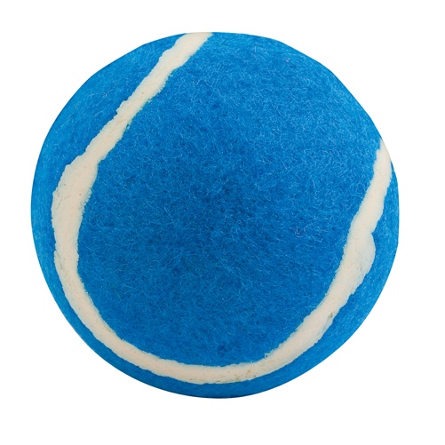 Logotrade promotional products photo of: ball for dogs AP731417-06 blue