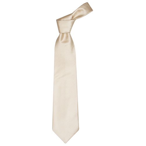 Logo trade business gift photo of: Necktie color white