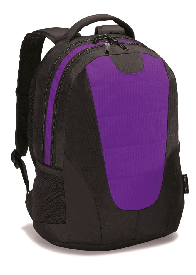 Logotrade promotional products photo of: COLORISSIMO LAPTOP  BACKPACK 14’, purple