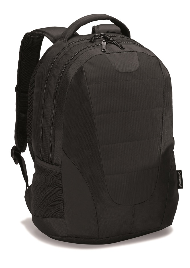 Logotrade promotional gift picture of: COLORISSIMO LAPTOP  BACKPACK 14’, black