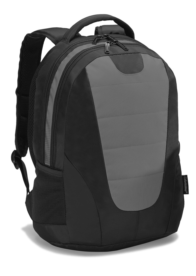 Logo trade promotional merchandise image of: COLORISSIMO LAPTOP  BACKPACK 14’, grey