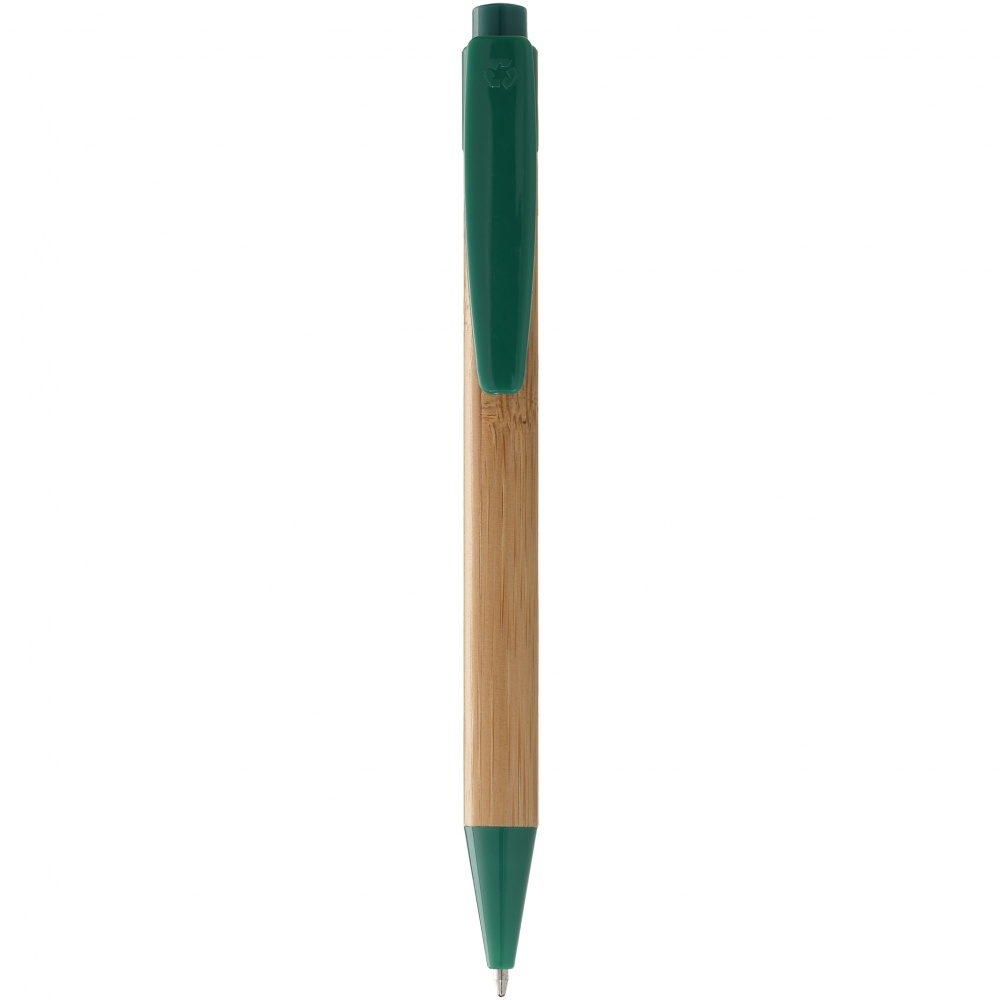 Logotrade promotional product picture of: Borneo ballpoint pen, green