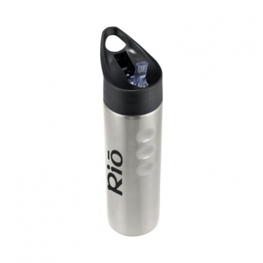Logo trade promotional giveaways image of: Trixie stainless sports bottle, silver
