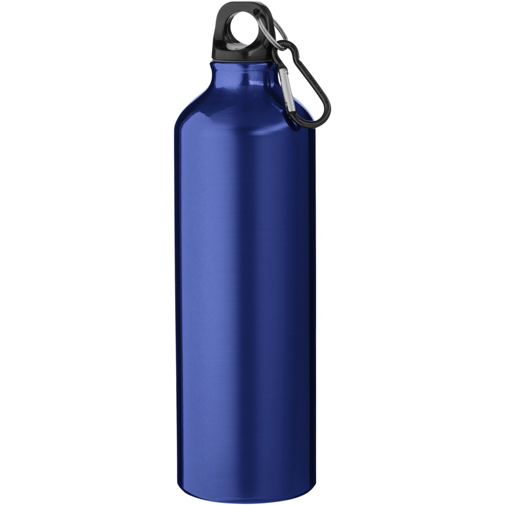 Logotrade promotional merchandise image of: Oregon 770 ml aluminium water bottle with carabiner