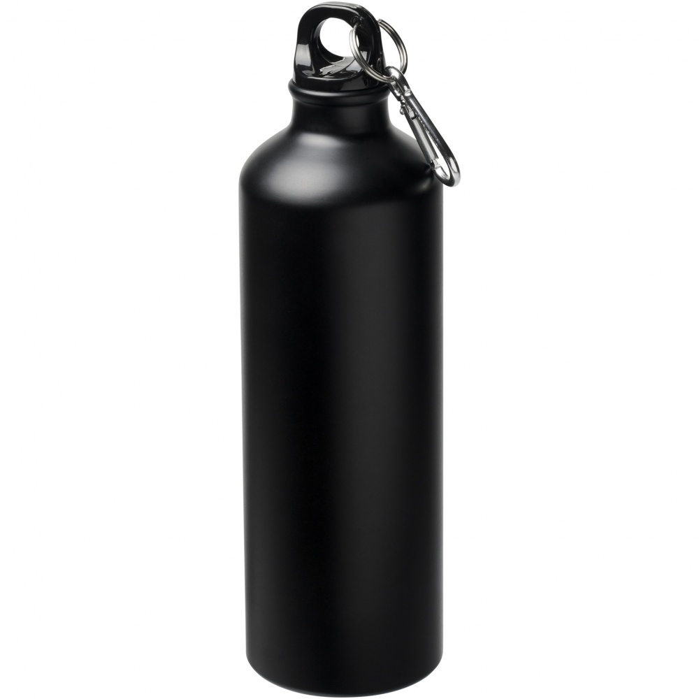 Logo trade corporate gifts image of: Oregon 770 ml matte water bottle with carabiner