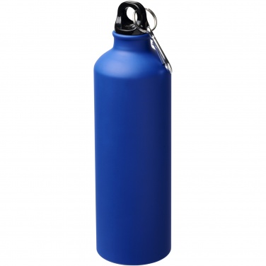 Logotrade promotional item image of: Oregon 770 ml matte water bottle with carabiner