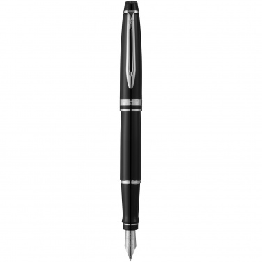 Logotrade promotional merchandise photo of: Waterman Expert fountain pen