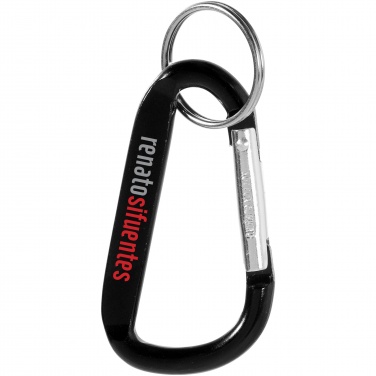 Logo trade promotional merchandise photo of: Timor carabiner keychain