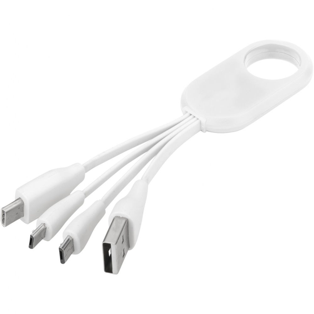 Logotrade business gift image of: Troup 4-in-1 charging cable with type-C tip