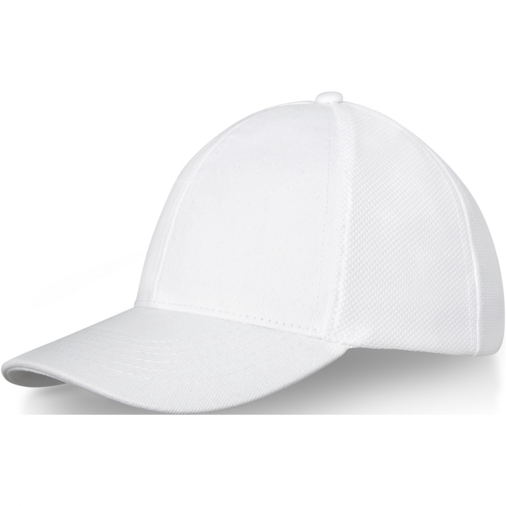 Logotrade promotional merchandise photo of: Drake 6 panel trucker cap