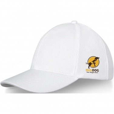 Logo trade promotional giveaway photo of: Drake 6 panel trucker cap