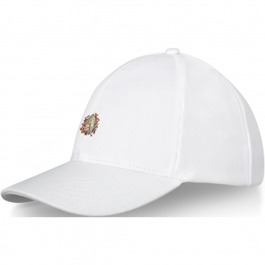 Logo trade advertising products image of: Drake 6 panel trucker cap