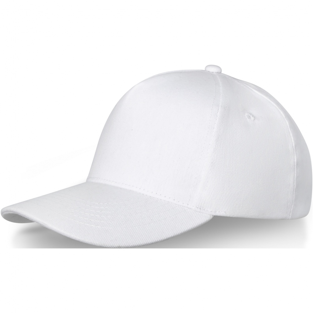 Logo trade promotional items picture of: Doyle 5 panel cap