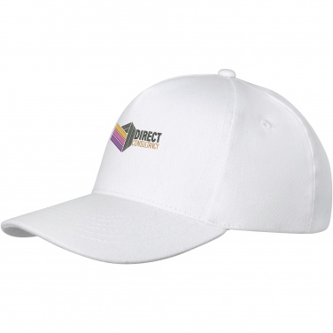 Logo trade promotional item photo of: Doyle 5 panel cap