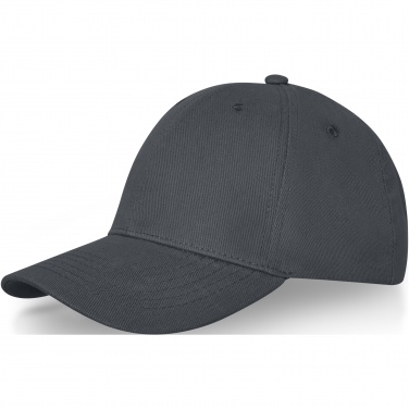 Logotrade corporate gift picture of: Davis 6 panel cap