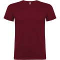 Beagle short sleeve kids t-shirt, Garnet