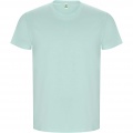 Golden short sleeve men's t-shirt, Mint