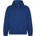 Vinson unisex hoodie, Royal blue