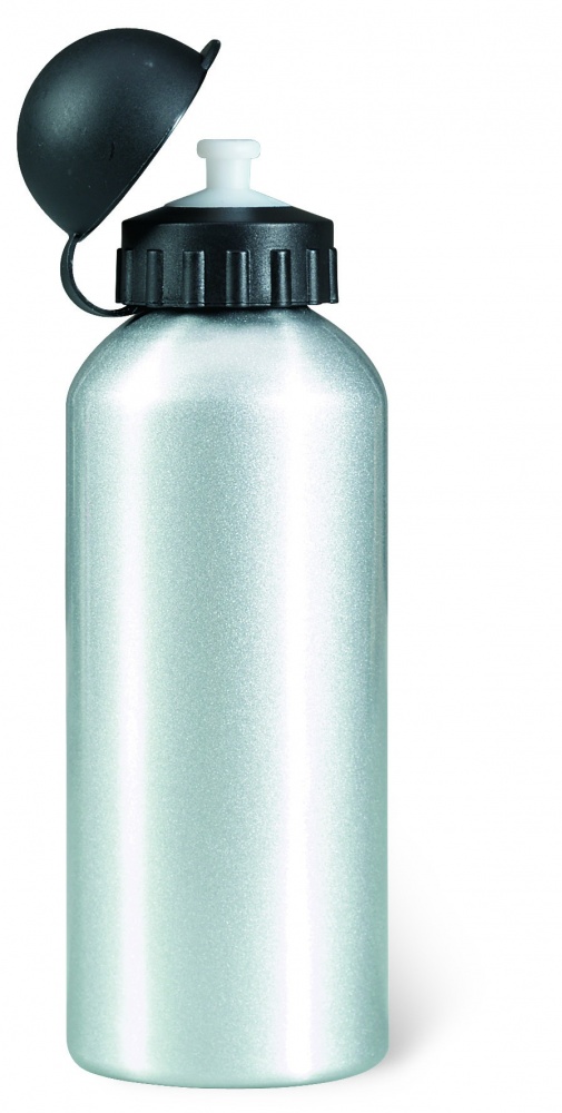 Logo trade business gifts image of: Aluminium bottle 600 ml