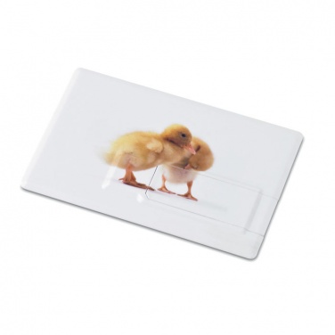 Logo trade promotional item photo of: Creditcard. USB flash 4GB