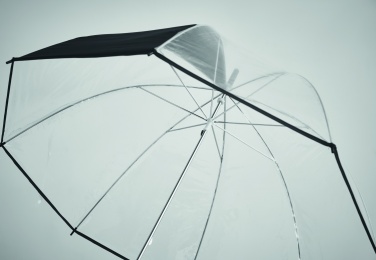 Logotrade promotional merchandise picture of: Transparent 23 inch manual open umbrella