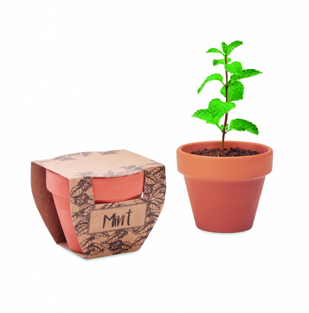 Logo trade promotional product photo of: Terracotta pot mint seeds