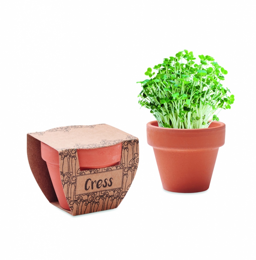 Logotrade promotional gift image of: Terracotta pot cress seeds