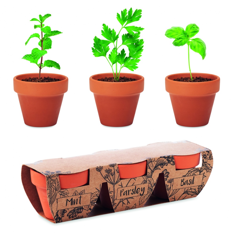 Logo trade business gifts image of: Terracotta 3 herb pot set