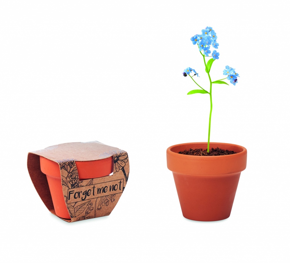 Logotrade promotional gift picture of: Terracotta pot 'forget me not'