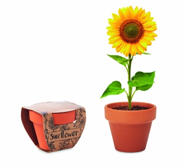 Logo trade promotional products picture of: Terracotta pot 'sunflower'