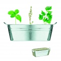 Zinc tub with 3 herbs seeds, Matt Silver