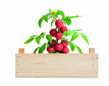 Logo trade business gifts image of: Tomato kit in wooden crate