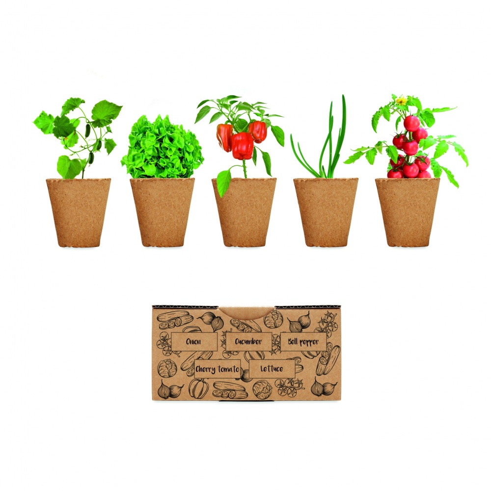 Logo trade promotional giveaways picture of: Salad growing kit