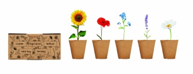 Logotrade advertising products photo of: Flowers growing kit