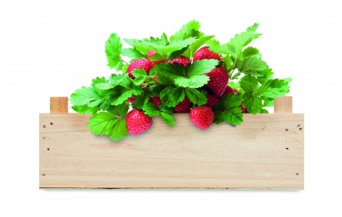 Logotrade corporate gift picture of: Strawberry kit in wooden crate