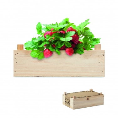 Logotrade promotional gift image of: Strawberry kit in wooden crate