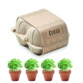 Egg carton growing kit, Beige