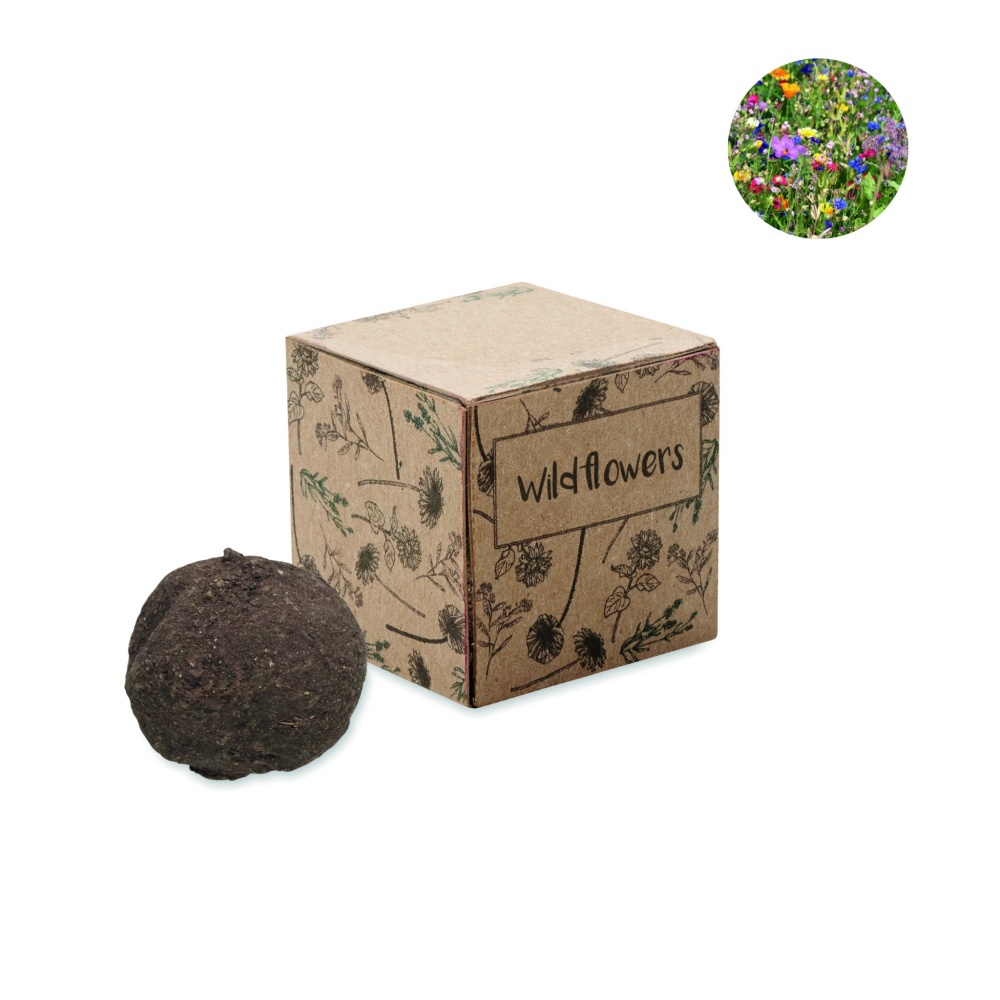 Logotrade corporate gift picture of: Seed bomb growing kit