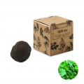 Herb seed bomb in carton box, Beige