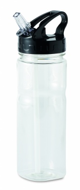 Logotrade promotional merchandise picture of: 500 ml PCTG bottle