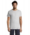 REGENT Uni T-Shirt 150g, Ash