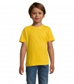 REGENT KIDS T-SHIRT 150g, Gold