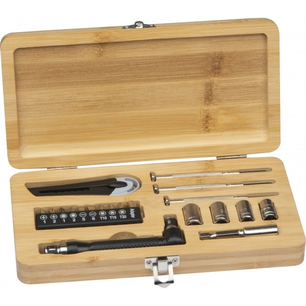 Logotrade promotional merchandise photo of: 22-piece tool set BERINGEN