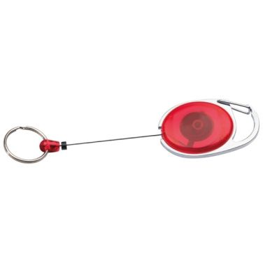 Logotrade corporate gift image of: Ski-Pass with Carabiner Keyring EMPLOYEE